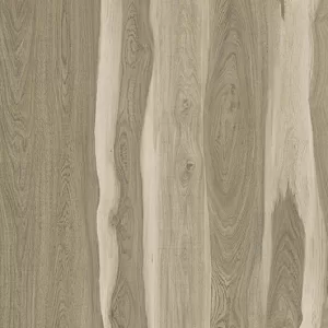SPC Plank Collections with Exotic Wood Oak Pattern Design from China